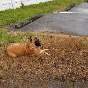 Meet your Posher, Darcy